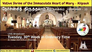 Votive Shrine Daily Mass  Live Stream  October 29 2024 Tuesday 630 am  Tamil Mass [upl. by Herr436]