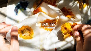 HOW TO ECO PRINT at home WITH FLOWERS  NATURAL DYE  BOTANICAL COLOUR [upl. by Elwee]