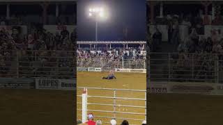 Discover the Thrilling World of Tie Down Roping at Cowtown Rodeo [upl. by Ahsekam]