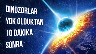 Dinozorların Nesli Tükendikten 10 Dakika Sonra Neler Olduğunu İzleyin [upl. by Flann]