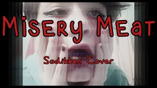 Misery Meat  Sodikken Cover [upl. by Llehsar]