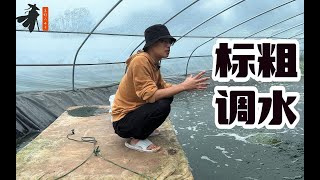 虾苗标粗详细操作流程，南美白对虾养殖！ [upl. by Genny]