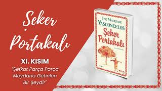 Şeker Portakalı Sesli Kitap  11 BÖLÜM  Jose Mauro de Vasconcelos [upl. by Tatiania]