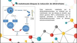 Biosíntesis de nucleótidos de pirimidina [upl. by Reaht485]