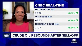 Crude oil to see oversupply situation in 2025 RBC Capitals Helima Croft [upl. by Ahtelra]