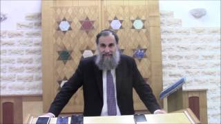 RAV ELIE LEMMEL quotLA CONSCIENCE DE SOI CHEZ L ENFANTquot 27 MAI 2015 [upl. by Ailegra317]