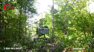 Abatteuse Timberpro TL735B Feller Buncher Machinerie Tanguay [upl. by Leblanc386]