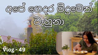 හරිම සීතලයි  මේ දවස් වල Hindi සිංදු පිස්සුවක් ගහලා  New Zealand  Sri Lankan  Sinhala Vlog [upl. by Nirrol]