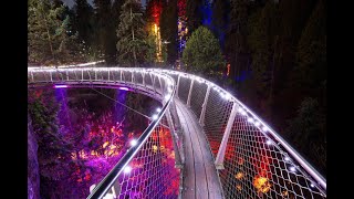 quot LOVELIGHTS quot Valentines day lights festival at Capilano Suspension Bridge Park  Must Watch [upl. by Ahsiadal]