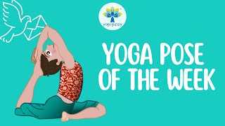 Yoga Pose of the Week  Pigeon Pose  Improve Strength amp Flexibility with Yoga for Kids  Yoga Guppy [upl. by Alliber682]