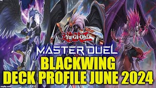 MASTER DUEL BLACKWING DECK PROFILE JUNE 2024 YUGIOH [upl. by Ernst518]