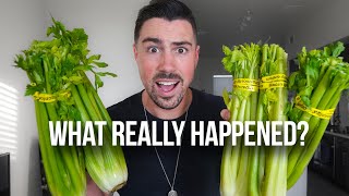 I drank CELERY JUICE for 7 Days and this is what happened [upl. by Adnoluy]