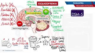 Psiquiatría  Esquizofrenia [upl. by Fanchie290]