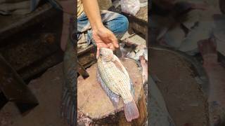 Amazing Tilapia Fish Cutting Skills  Fish Cutting Live  Fish Cutting Video shorts [upl. by Eizzil]