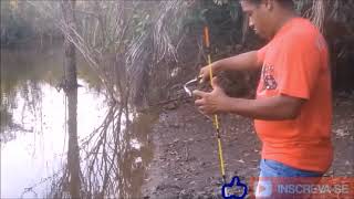 Pescador experiente a gente conhece de longe Pescaria de Traíra  Altamira Pará [upl. by Nared]