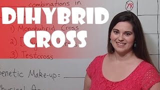 Punnett Squares  Dihybrid Cross [upl. by Llekim]