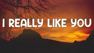 I Really Like You LyricsEnglish Song 2024 [upl. by Holihs]