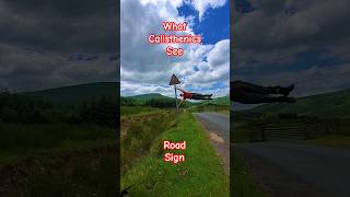 humanflag calisthenics coreworkout absworkout kalistenika workout flag bieszczady wales [upl. by Ynove964]