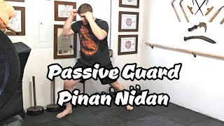 Pinan Nidan with a Passive Guard [upl. by Cordeelia]