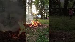 Burning garbage to clean the environment🌿🌿🌿🌿shorts trending cleaning environment viralvideo [upl. by Haliled]