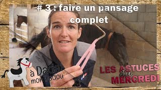 Comment faire un pansage complet [upl. by Matthaeus]