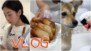 여기예서VLOGㅣ휘낭시에 베이킹 강아지 목욕 여름이니까 수박 예서의발견 브이로그 [upl. by Sylvie]