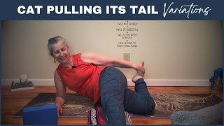 Get Comfortable in Cat Pulling Its Tail Yin Yoga [upl. by Catarina]