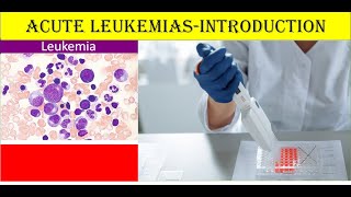 Lecture 21 Acute Leukemias Introduction [upl. by Ragnar]