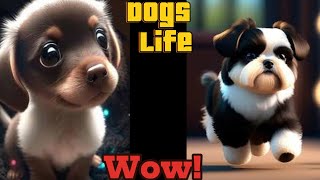 dogy sitter  dogs activities  dog game  bao bao game  kutta game  RMX MIXER [upl. by Hirza]