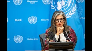 Francesca Albanese UN Special Rapporteur on the Occupied Palestinian Territory meets the press [upl. by Chassin9]