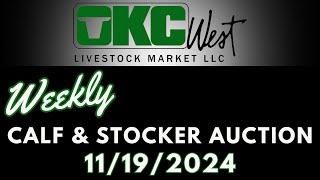 11192024  Calf amp Stocker Auction  OKC West [upl. by Bonneau]