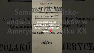 Najnowszy samouczek polskoangielski Braci Worzałłów dla Polaków w Ameryce [upl. by Rains]