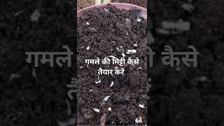 गमले की मिट्टी कैसे तैयार करें  Gamle ki mitti kaise taiyar kare  Best potting mix for Pot shorts [upl. by Bugbee]