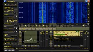 Shortwave sounds of agony [upl. by Ulu]