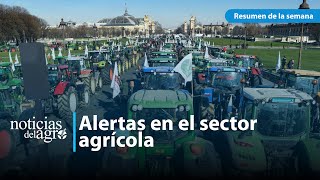 🌍 Crisis Agrícola Global Protestas Brotes y Desabastecimiento [upl. by Elocan]