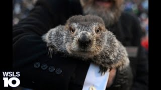 WATCH LIVE Will Punxsutawney Phil see his shadow [upl. by Lenno987]