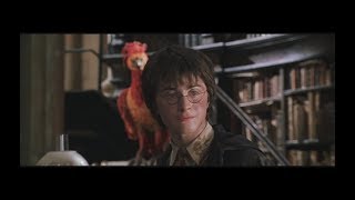 FRENCH LESSON  learn french with Harry Potter II  french dub  part5 [upl. by Etteyafal993]