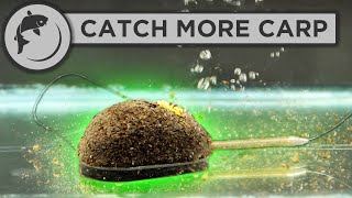 How To Fish The Method Feeder  5 Steps To Catch More Fish [upl. by Hardin]