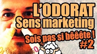 LODORAT sens marketing  Sois pas si bêêête 2 [upl. by Mack482]