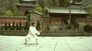 Wudang Sanfeng Taijiquan 28 Form [upl. by Yhtrod]