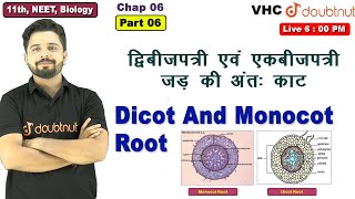 Part 06 Dicot And Monocot Root द्विबीजपत्री एवं एकबीजपत्री जड़ की अंतः काट 11th Biology [upl. by Marijane]