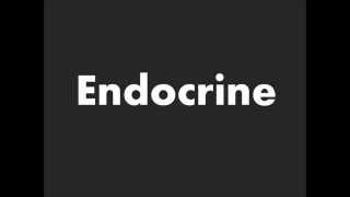 How to Pronounce Endocrine [upl. by Oirram]