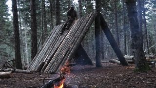 Building Alone A frame Cabin from start to finish Off Grid living in the WildernessSurvivor skills [upl. by Nnylasor]