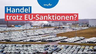 Umgehen von Sanktionen Wie deutsche Autos nach Russland kommen  Plusminus  MDR [upl. by Goldie]