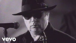 Van Morrison  Days Like This Official Video [upl. by Kristal869]