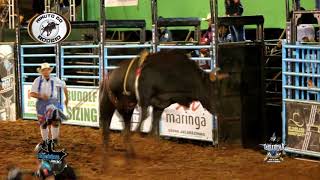 Malaquias de Castro Vs Extremo Cia Juvenal Prontemolez Ibirarema Rodeo Fest 2018 [upl. by Llenna]