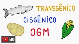 É tudo transgênico InstanteBiotec 53 [upl. by Stoat399]