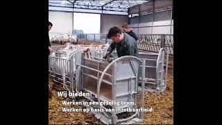 Vacature Bekapper van Geiten  Van den Heuvel Klauwverzorging [upl. by Arimaj606]