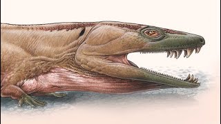 Giant Salamander Creature Reigned Supreme As The Apex Predator In The Ice Age Before The Dinosaurs [upl. by Charbonneau]