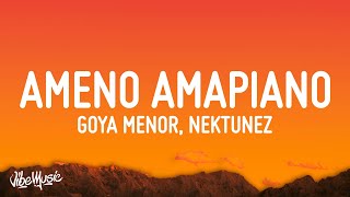 Goya Menor Nektunez – Ameno Amapiano Remix you want to bamba you want to chill with the big boys [upl. by Martens751]